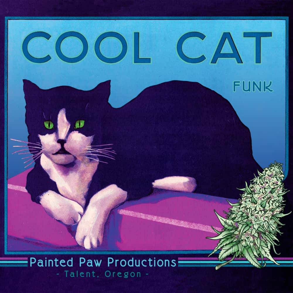 Coolcatfunk