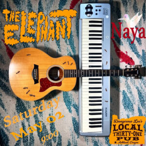 The Elephant May copy