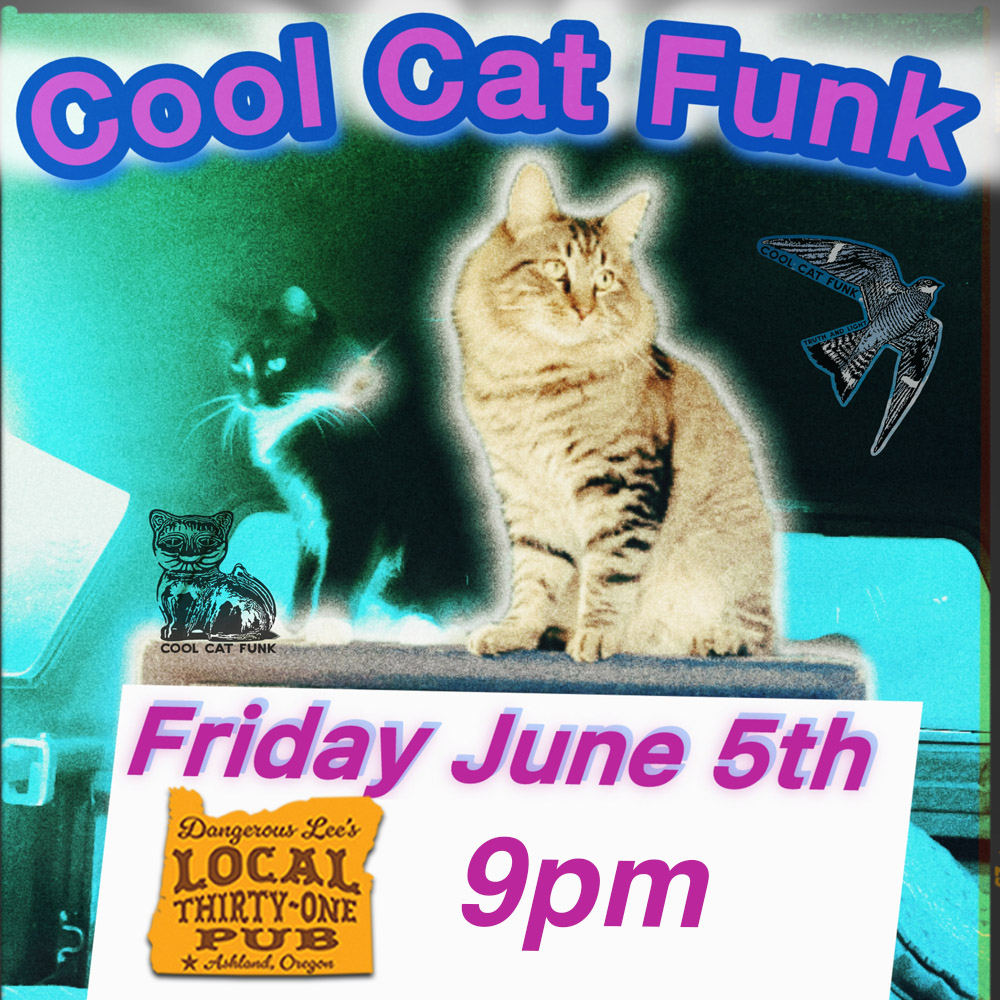 Cool Cat Funk2 copy